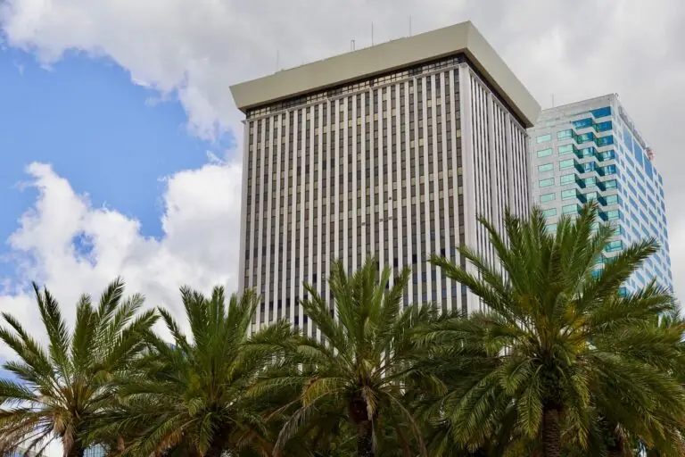 Office tower behind palm trees in Florida, commercial property insurance Florida