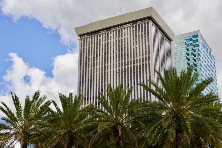 Office tower behind palm trees in Florida, commercial property insurance Florida
